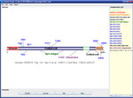 Domain Structure Illustrator