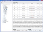 Phosphorylation Predictor